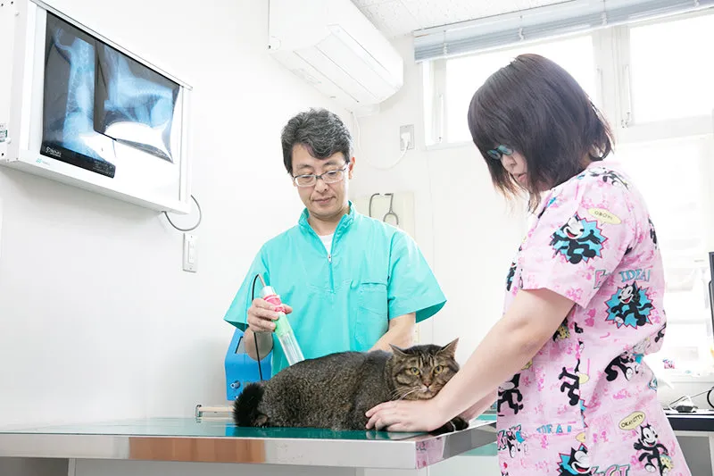 ペットショップのわんちゃん・ねこちゃんを飼い始めた時は