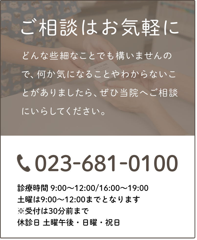 ご相談はお気軽に 023-681-0100