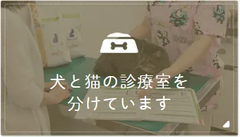 犬と猫の診療室を分けています