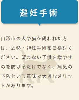 避妊手術
